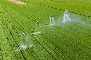 山西运城：小麦“一喷三防”保丰收