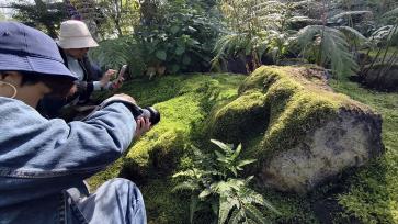 上海植物园苔藓园开放 吸引游客参观