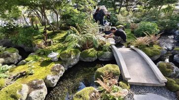 上海植物园苔藓园开放 吸引游客参观