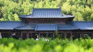 浙江绍兴：兰亭天章寺吸引游客参观