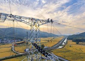 安徽芜湖：电力线路改造升级迎峰度夏
