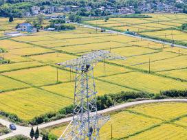 安徽芜湖：电力线路改造升级迎峰度夏