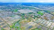 江西九江：乡村水田宛若大地“调色盘”
