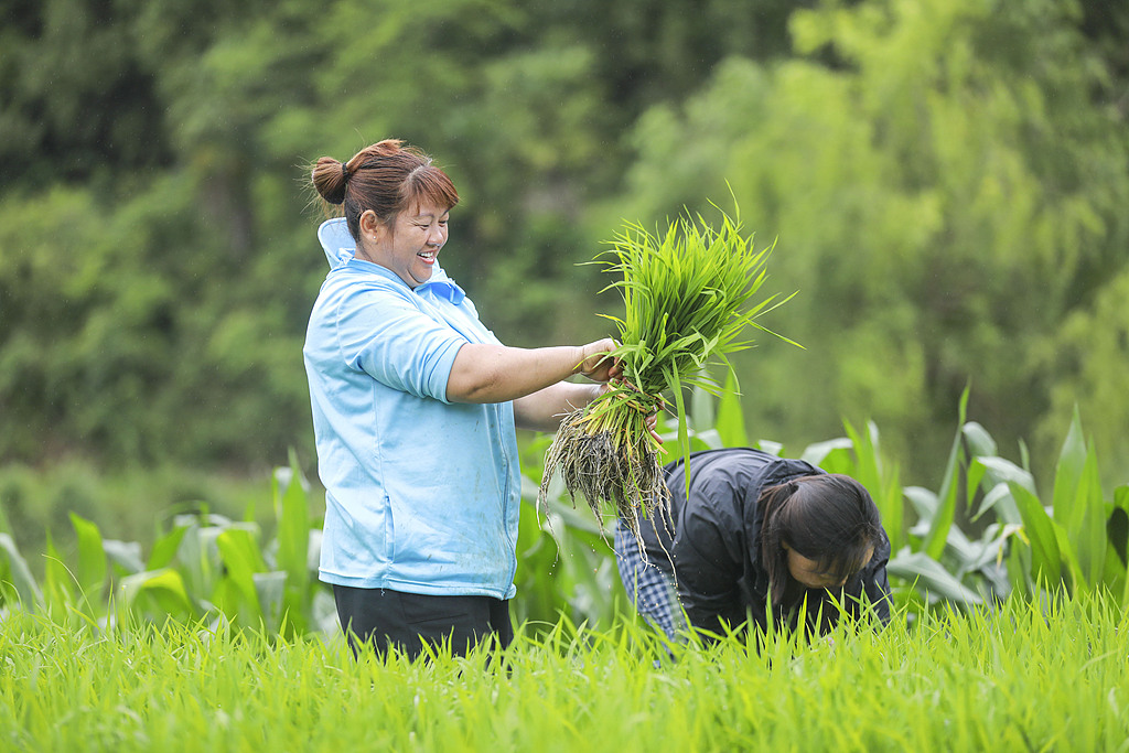 贵州黔西：农民抢抓农时插秧