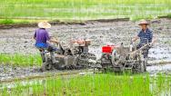 湖北浠水：农民夏耕抢农时
