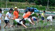重庆：学生田间学农事体验劳动乐趣
