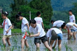 重庆：学生田间学农事体验劳动乐趣