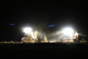 江苏宿迁：夜间抢收小麦
