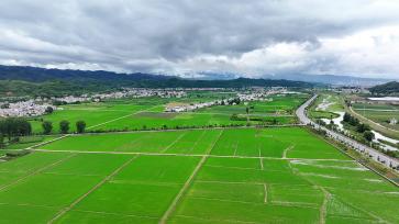 湖北房县：蓄水工程保障农田灌溉