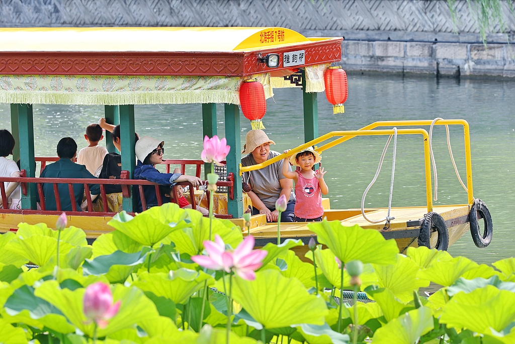北京：北海公园荷花盛开 市民泛舟赏景