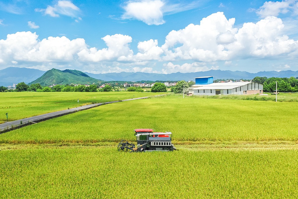 湖南蓝山：早稻开镰收割 农机助力夏收