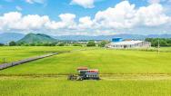 湖南蓝山：早稻开镰收割 农机助力夏收
