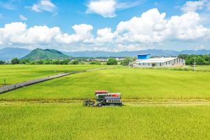 湖南蓝山：早稻开镰收割 农机助力夏收