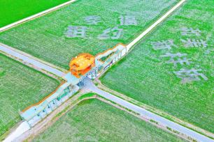 江苏南通：高标准农田绘就乡村生态画卷