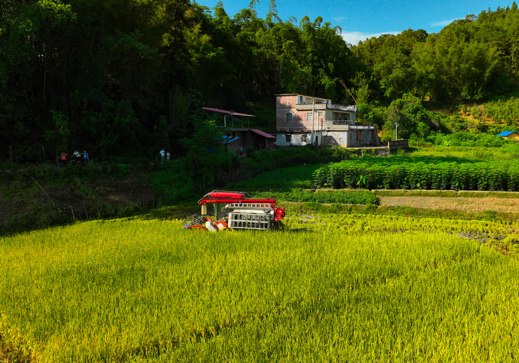 广西梧州：机械化设备助力夏收