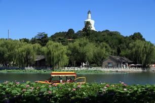 北京：市民在北海公园赏荷纳凉