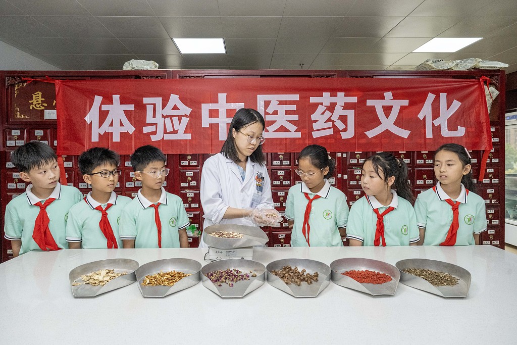 安徽合肥：小学生体验中医药文化