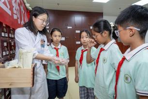 安徽合肥：小学生体验中医药文化