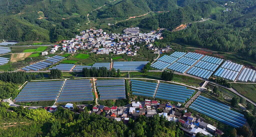 湖北房县：特色产业助力乡村振兴