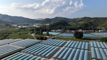 湖北房县：特色产业助力乡村振兴