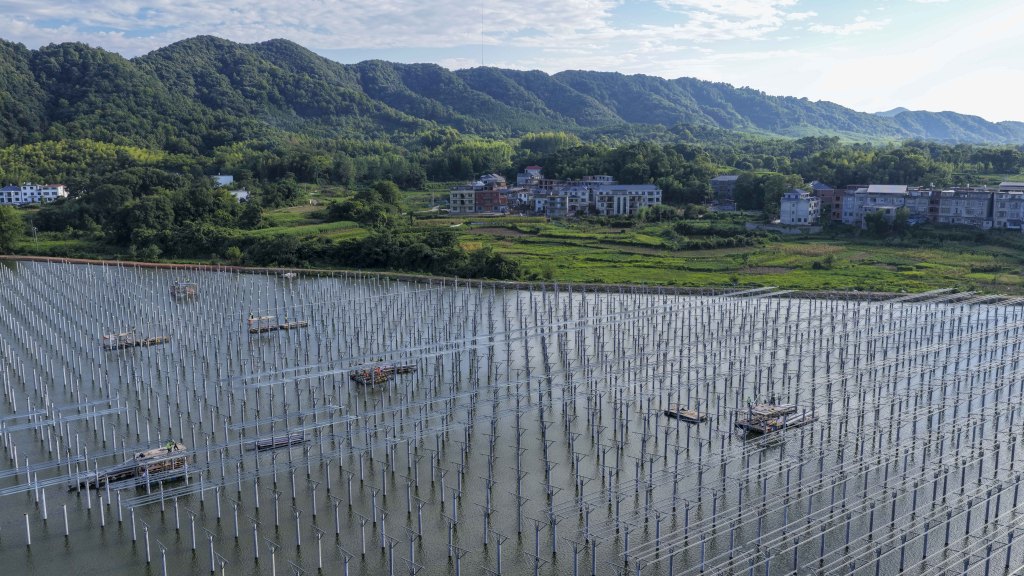 江西九江：渔光互补光伏发电项目建设正酣
