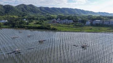 江西九江：渔光互补光伏发电项目建设正酣