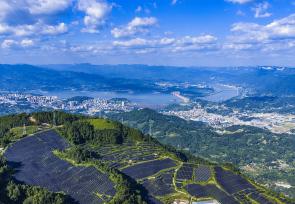 湖北秭归：光伏发电板整齐排列