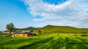 安徽宿州：稻田图书馆激活乡村新活力
