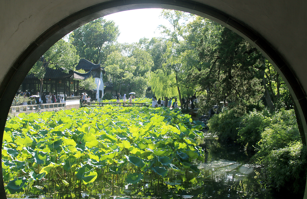 江苏苏州：拙政园迎来暑期旅游高峰