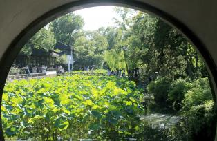 江苏苏州：拙政园迎来暑期旅游高峰