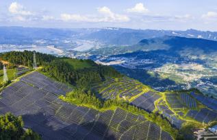 湖北宜昌：三峡库区光伏发电助力乡村振兴