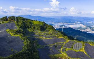 湖北宜昌：三峡库区光伏发电助力乡村振兴