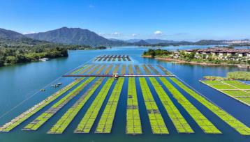 浙江杭州：千岛湖生态浮岛秋种有序展开