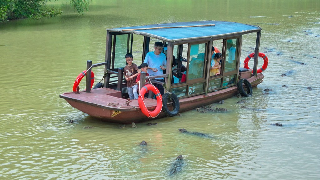 浙江湖州：扬子鳄湿地开启生态科普游