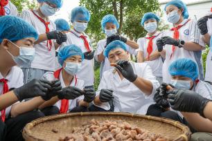 安徽芜湖：劳动课堂走进非遗工坊