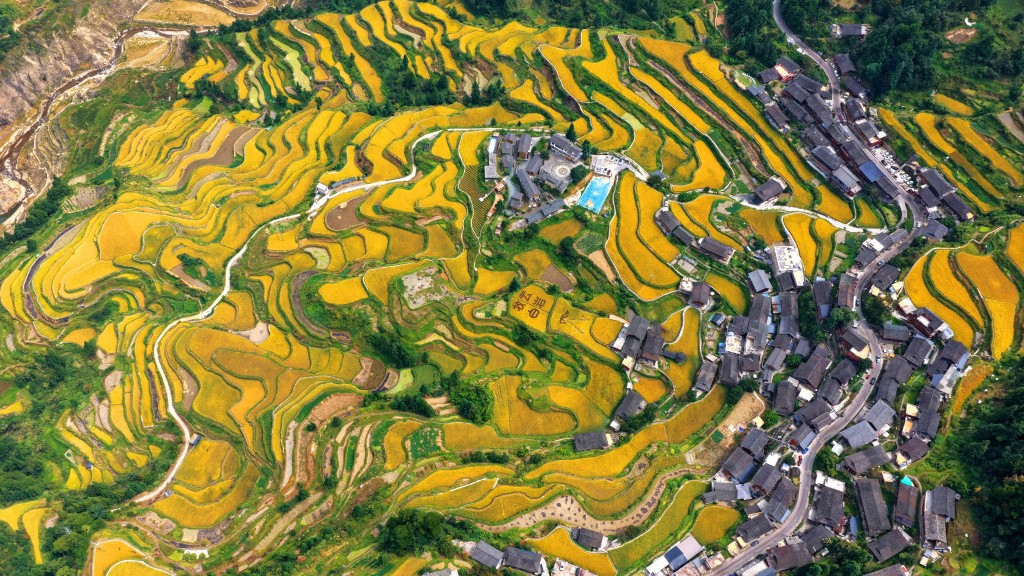 贵州黔东南：苗寨梯田稻浪金黄秋景如画