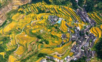 贵州黔东南：苗寨梯田稻浪金黄秋景如画