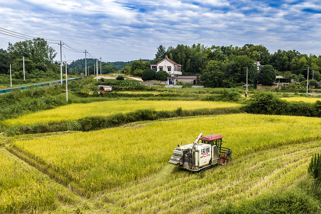 安徽芜湖：农机手驾驶收割机收获水稻