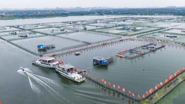 江苏苏州：2026阳澄湖大闸蟹正式开捕