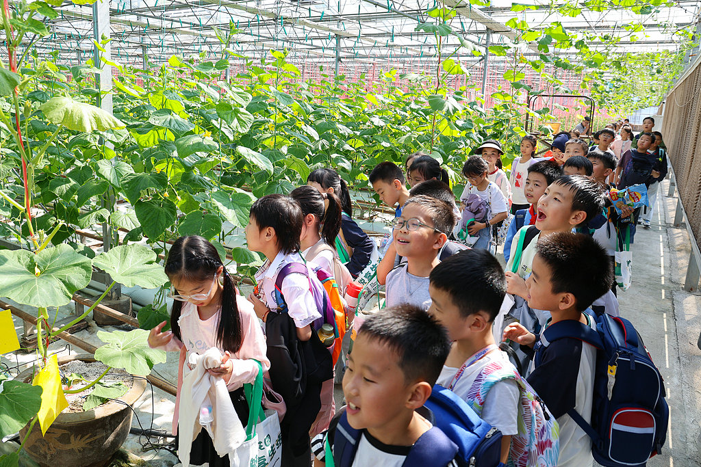 浙江东阳：小学生参加美丽乡村秋季研学活动