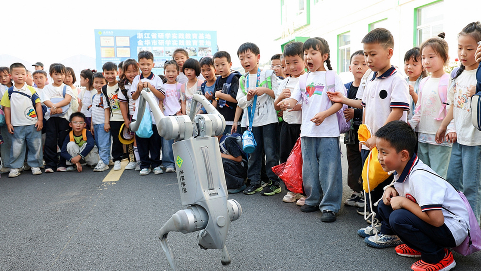 浙江东阳：小学生参加美丽乡村秋季研学活动