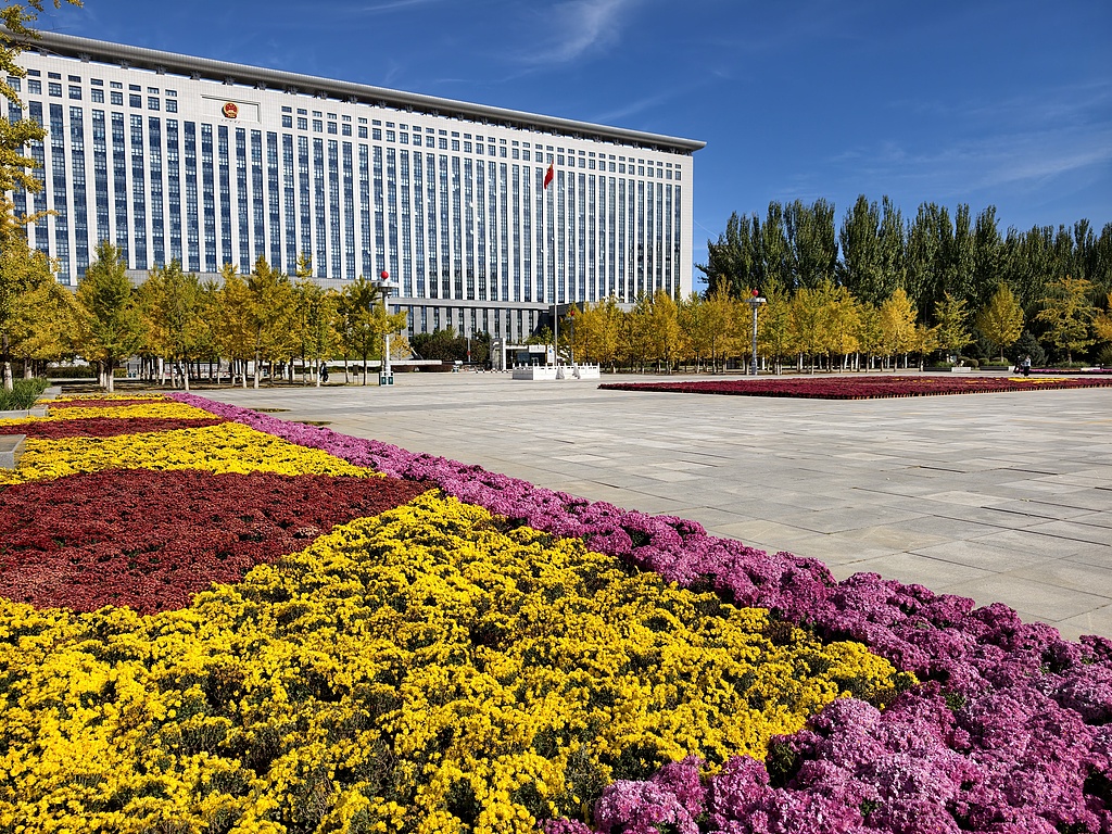 辽宁朝阳：街头菊花绽放扮靓全城