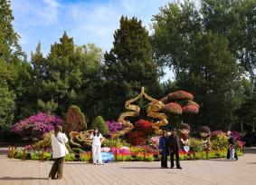 北京：天坛公园花艳秋浓 赏景正当时