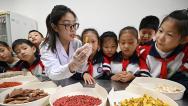 河北邯郸：小学生走进医院体验中医药文化