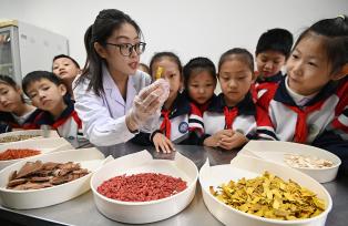 河北邯郸：小学生走进医院体验中医药文化