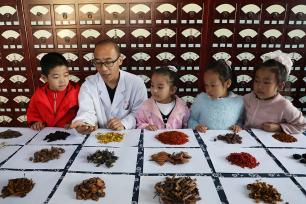 河北邯郸：小学生走进医院体验中医药文化