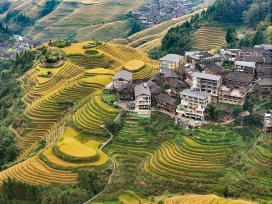 广西桂林：龙脊梯田迎来最佳观赏期