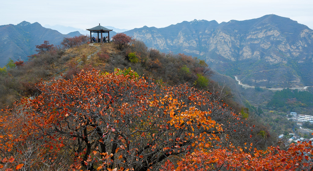 北京：秋日山色引客来