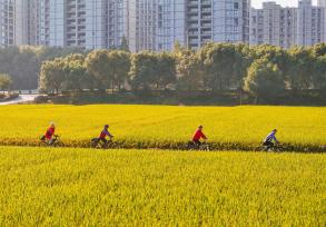浙江湖州：市民骑行赏秋 感受田园风光