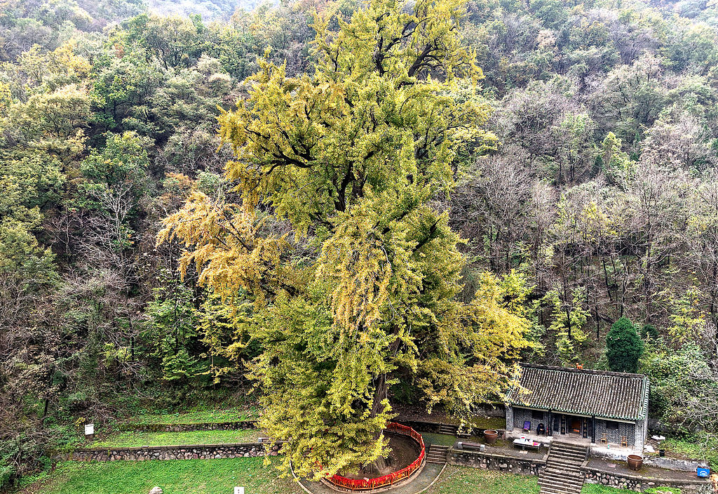 河南济源：王屋山秋色如画